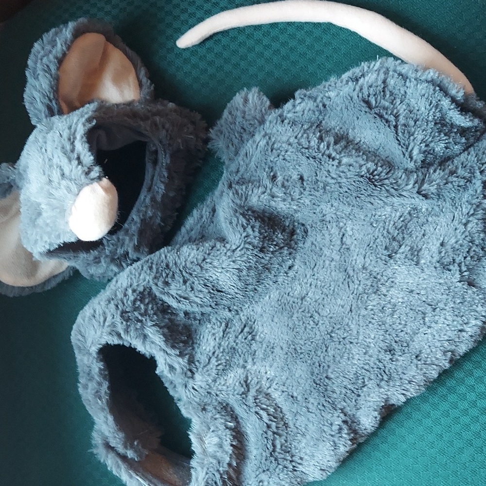 Mouse animal costume